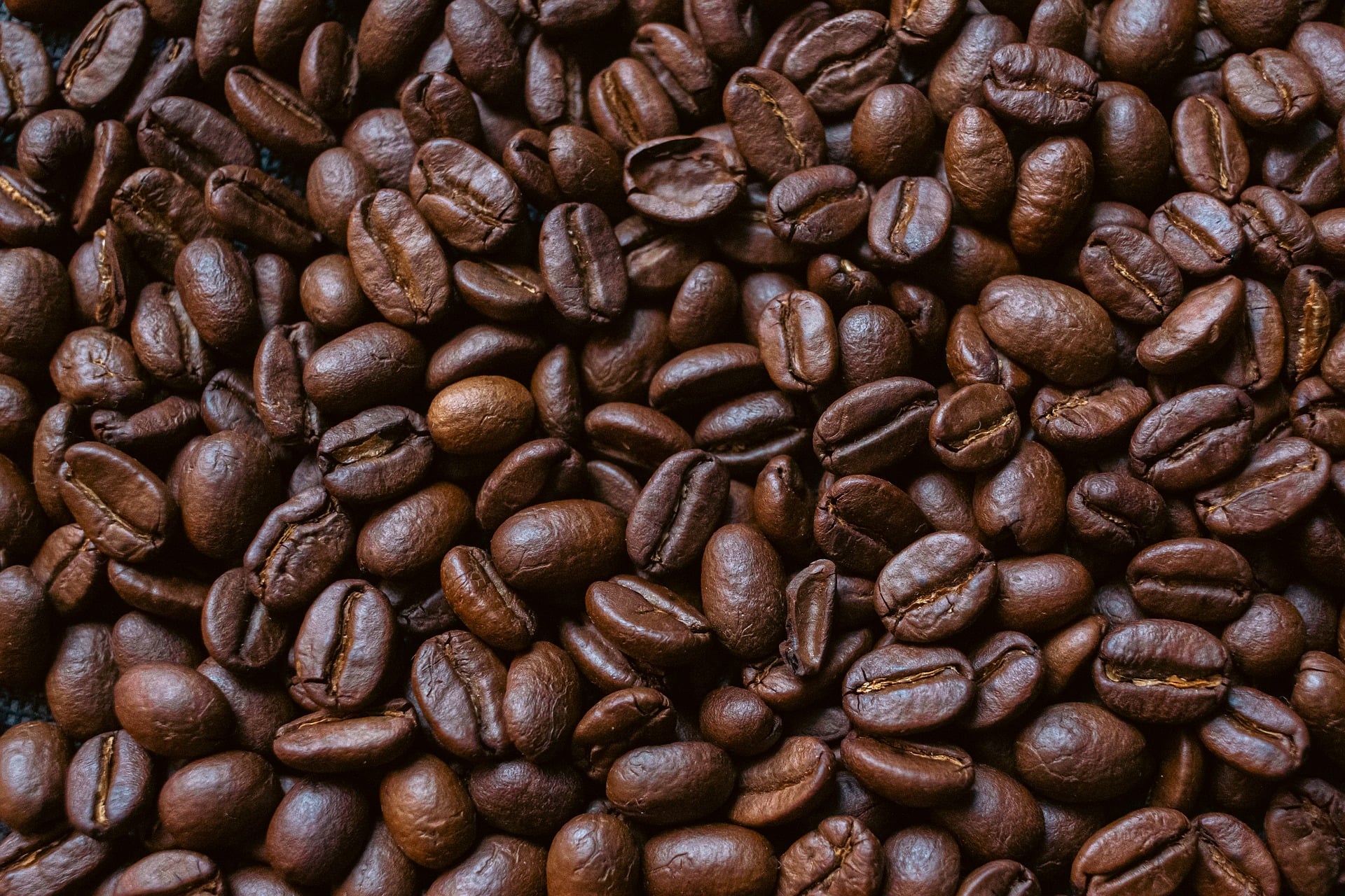 Araku Valley Arabica
